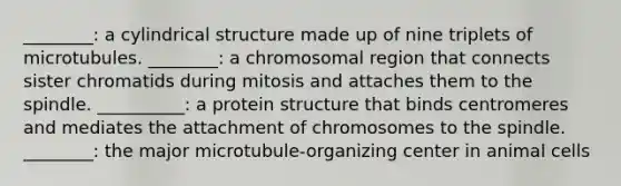 ________: a cylindrical structure made up of nine triplets of microtubules. ________: a chromosomal region that connects sister chromatids during mitosis and attaches them to the spindle. __________: a protein structure that binds centromeres and mediates the attachment of chromosomes to the spindle. ________: the major microtubule-organizing center in animal cells