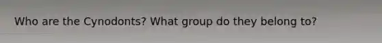 Who are the Cynodonts? What group do they belong to?