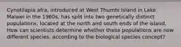 Cynotilapia afra, introduced at West Thumbi Island in Lake Malawi in the 1960s, has split into two genetically distinct populations, located at the north and south ends of the island. How can scientists determine whether these populations are now different species, according to the biological species concept?