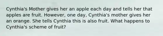 Cynthia's Mother gives her an apple each day and tells her that apples are fruit. However, one day, Cynthia's mother gives her an orange. She tells Cynthia this is also fruit. What happens to Cynthia's scheme of fruit?