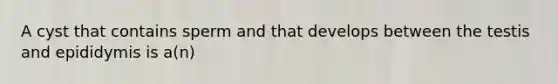 A cyst that contains sperm and that develops between the testis and epididymis is a(n)