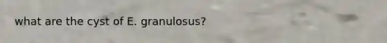 what are the cyst of E. granulosus?