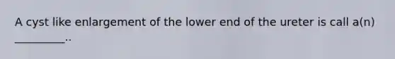 A cyst like enlargement of the lower end of the ureter is call a(n) _________..