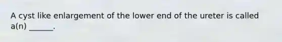 A cyst like enlargement of the lower end of the ureter is called a(n) ______.