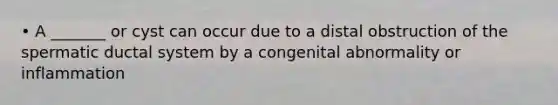 • A _______ or cyst can occur due to a distal obstruction of the spermatic ductal system by a congenital abnormality or inflammation