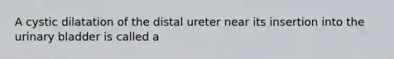 A cystic dilatation of the distal ureter near its insertion into the urinary bladder is called a