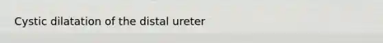 Cystic dilatation of the distal ureter