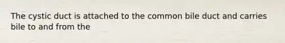 The cystic duct is attached to the common bile duct and carries bile to and from the
