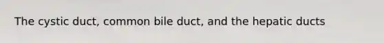 The cystic duct, common bile duct, and the hepatic ducts