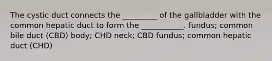 The cystic duct connects the _________ of the gallbladder with the common hepatic duct to form the ___________. fundus; common bile duct (CBD) body; CHD neck; CBD fundus; common hepatic duct (CHD)