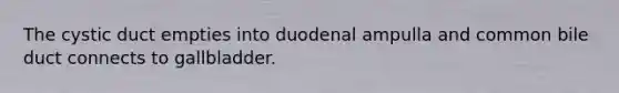 The cystic duct empties into duodenal ampulla and common bile duct connects to gallbladder.