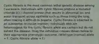 Cystic fibrosis is the most common lethal genetic disease among Caucasians. Individuals with cystic fibrosis produce a mutated chloride (Cl-) channel protein that results in abnormal ion and water transport across epithelia such as those lining the lung, often making it difficult to breathe. Cystic fibrosis is inherited in an autosomal recessive manner; individuals who are heterozygous for the cystic fibrosis allele are carriers but do not exhibit the disease. Drag the individual crosses shown below to their appropriate phenotypic outcome. (Wild type [normal] allele = F; Cystic fibrosis allele = f.)