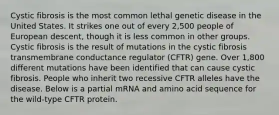 Cystic fibrosis is the most common lethal genetic disease in the United States. It strikes one out of every 2,500 people of European descent, though it is less common in other groups. Cystic fibrosis is the result of mutations in the cystic fibrosis transmembrane conductance regulator (CFTR) gene. Over 1,800 different mutations have been identified that can cause cystic fibrosis. People who inherit two recessive CFTR alleles have the disease. Below is a partial mRNA and amino acid sequence for the wild-type CFTR protein.