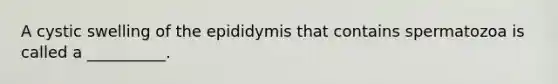 A cystic swelling of the epididymis that contains spermatozoa is called a __________.