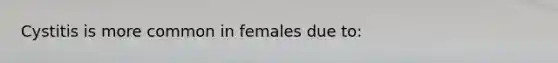 Cystitis is more common in females due to: