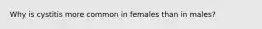 Why is cystitis more common in females than in males?