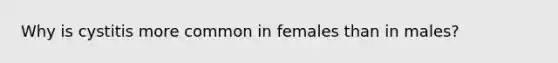 Why is cystitis more common in females than in males?