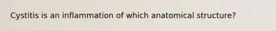 Cystitis is an inflammation of which anatomical structure?