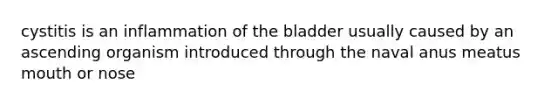 cystitis is an inflammation of the bladder usually caused by an ascending organism introduced through the naval anus meatus mouth or nose