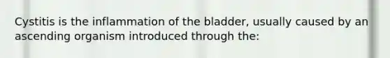 Cystitis is the inflammation of the bladder, usually caused by an ascending organism introduced through the: