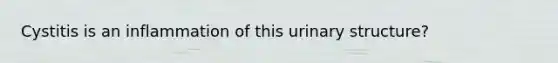 Cystitis is an inflammation of this urinary structure?