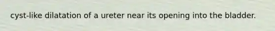 cyst-like dilatation of a ureter near its opening into the bladder.