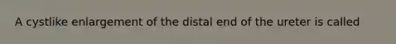 A cystlike enlargement of the distal end of the ureter is called