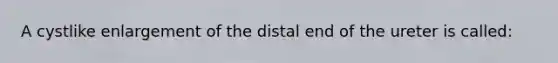 A cystlike enlargement of the distal end of the ureter is called: