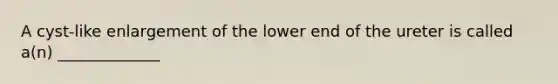 A cyst-like enlargement of the lower end of the ureter is called a(n) _____________