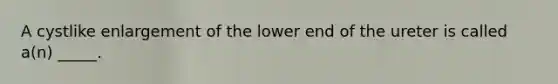 A cystlike enlargement of the lower end of the ureter is called a(n) _____.