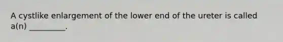 A cystlike enlargement of the lower end of the ureter is called a(n) _________.