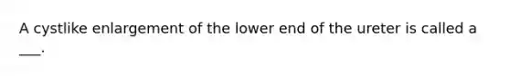 A cystlike enlargement of the lower end of the ureter is called a ___.