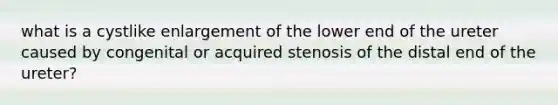 what is a cystlike enlargement of the lower end of the ureter caused by congenital or acquired stenosis of the distal end of the ureter?