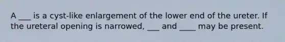 A ___ is a cyst-like enlargement of the lower end of the ureter. If the ureteral opening is narrowed, ___ and ____ may be present.