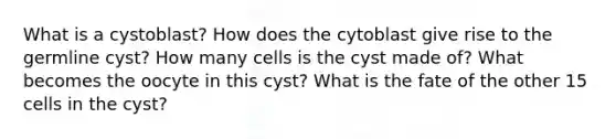 What is a cystoblast? How does the cytoblast give rise to the germline cyst? How many cells is the cyst made of? What becomes the oocyte in this cyst? What is the fate of the other 15 cells in the cyst?