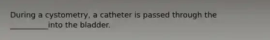 During a cystometry, a catheter is passed through the __________into the bladder.