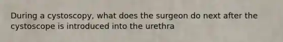 During a cystoscopy, what does the surgeon do next after the cystoscope is introduced into the urethra