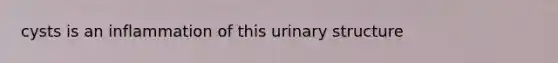 cysts is an inflammation of this urinary structure