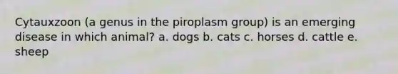 Cytauxzoon (a genus in the piroplasm group) is an emerging disease in which animal? a. dogs b. cats c. horses d. cattle e. sheep