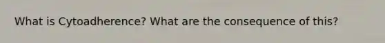 What is Cytoadherence? What are the consequence of this?