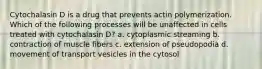 Cytochalasin D is a drug that prevents actin polymerization. Which of the following processes will be unaffected in cells treated with cytochalasin D? a. cytoplasmic streaming b. contraction of muscle fibers c. extension of pseudopodia d. movement of transport vesicles in the cytosol