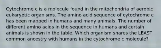 Cytochrome c is a molecule found in the mitochondria of aerobic eukaryotic organisms. The amino acid sequence of cytochrome c has been mapped in humans and many animals. The number of different amino acids in the sequence in humans and certain animals is shown in the table. Which organism shares the LEAST common ancestry with humans in the cytochrome c molecule?