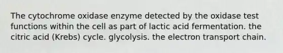 The cytochrome oxidase enzyme detected by the oxidase test functions within the cell as part of lactic acid fermentation. the citric acid (Krebs) cycle. glycolysis. <a href='https://www.questionai.com/knowledge/k57oGBr0HP-the-electron-transport-chain' class='anchor-knowledge'>the electron transport chain</a>.