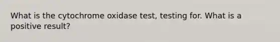 What is the cytochrome oxidase test, testing for. What is a positive result?