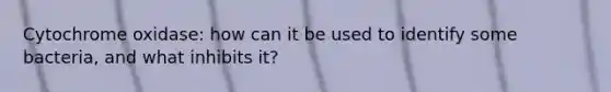 Cytochrome oxidase: how can it be used to identify some bacteria, and what inhibits it?