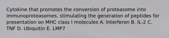 Cytokine that promotes the conversion of proteasome into immunoproteasomes, stimulating the generation of peptides for presentation on MHC class I molecules A. Interferon B. IL-2 C. TNF D. Ubiquitin E. LMP7