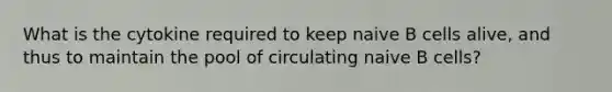 What is the cytokine required to keep naive B cells alive, and thus to maintain the pool of circulating naive B cells?