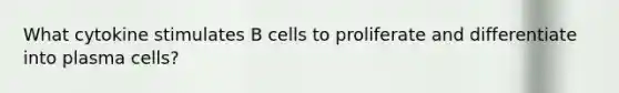 What cytokine stimulates B cells to proliferate and differentiate into plasma cells?