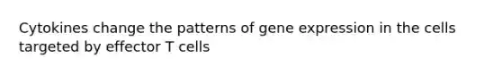 Cytokines change the patterns of gene expression in the cells targeted by effector T cells