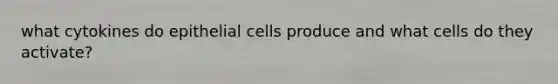 what cytokines do epithelial cells produce and what cells do they activate?